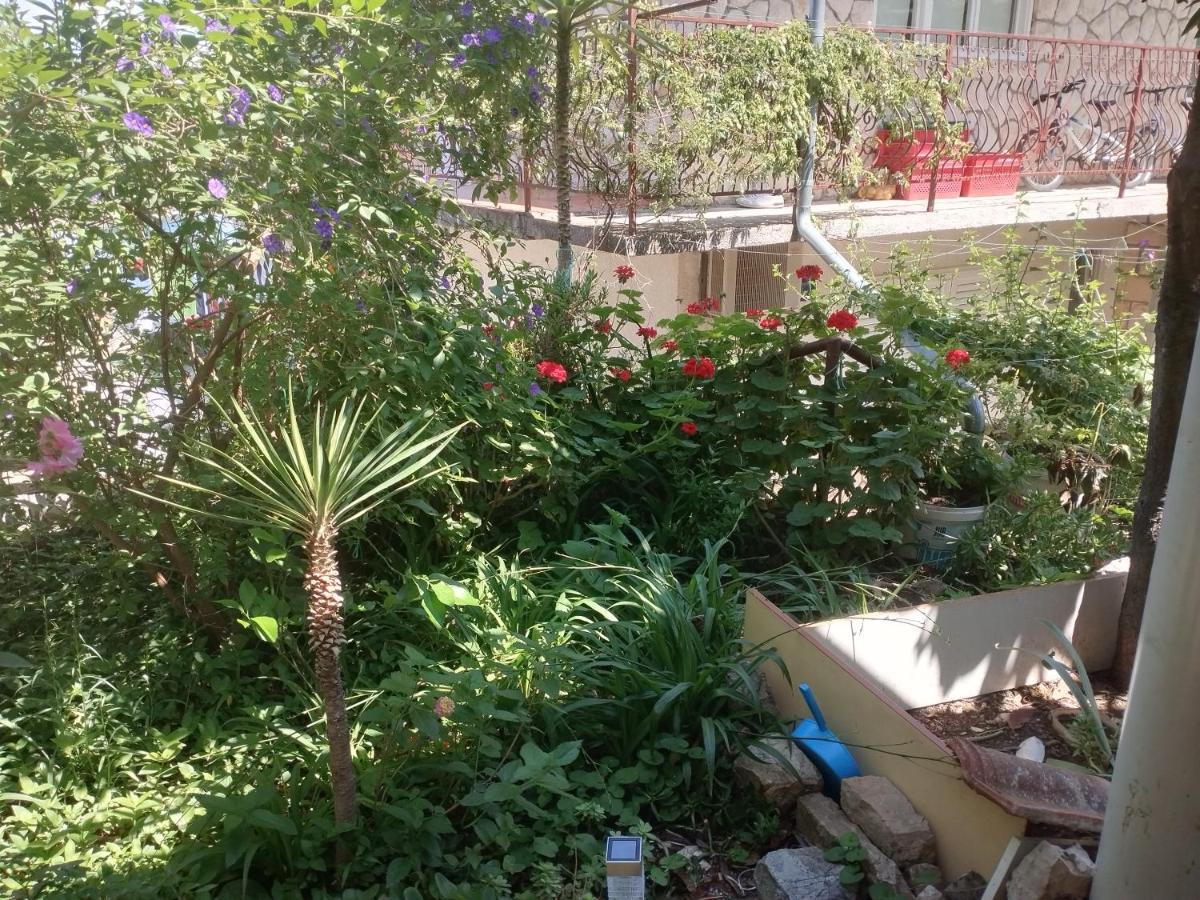 Apartments Piko2 Jelsa  Dış mekan fotoğraf